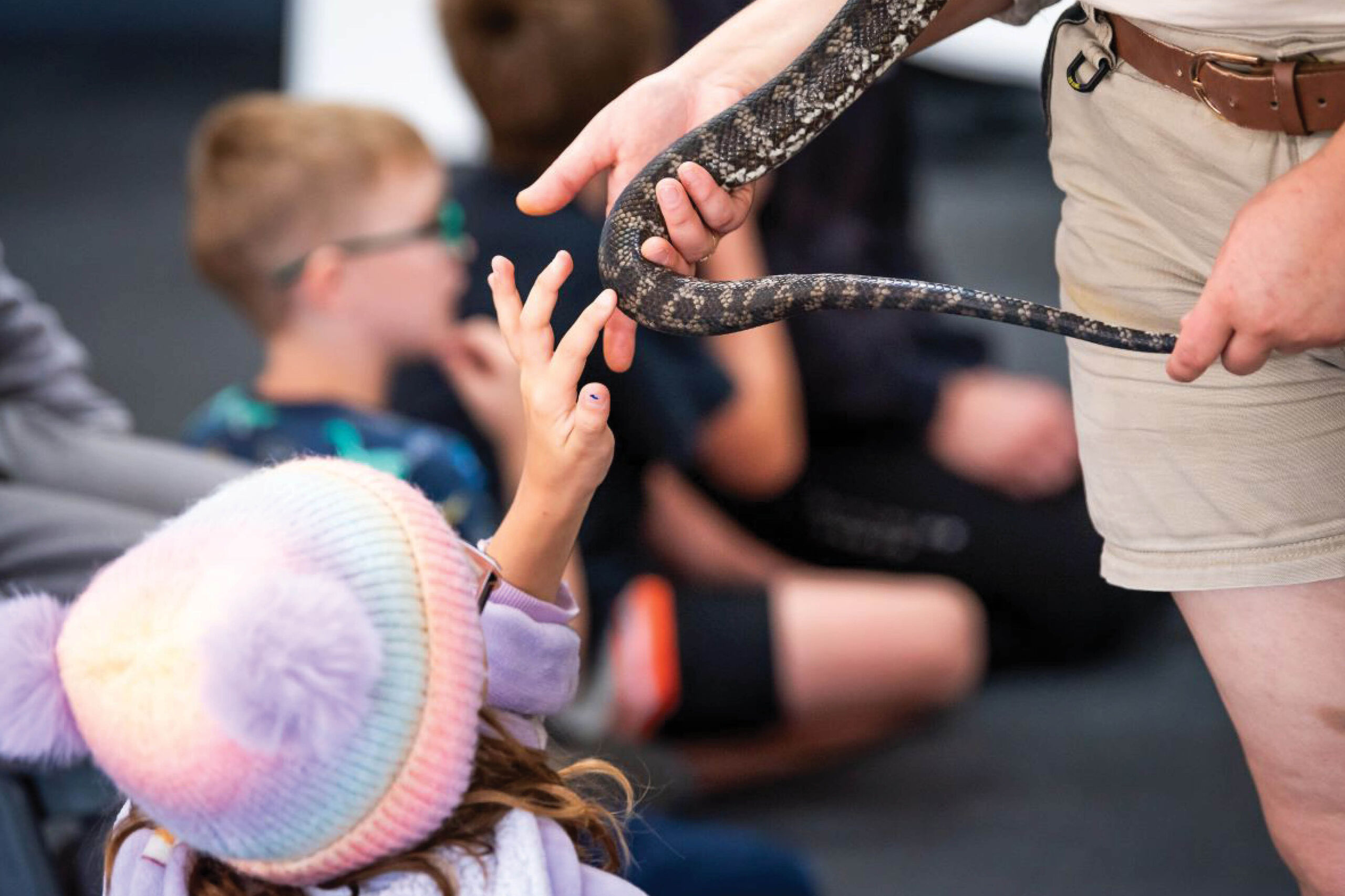 Camp Yurrebilla Jan 2025