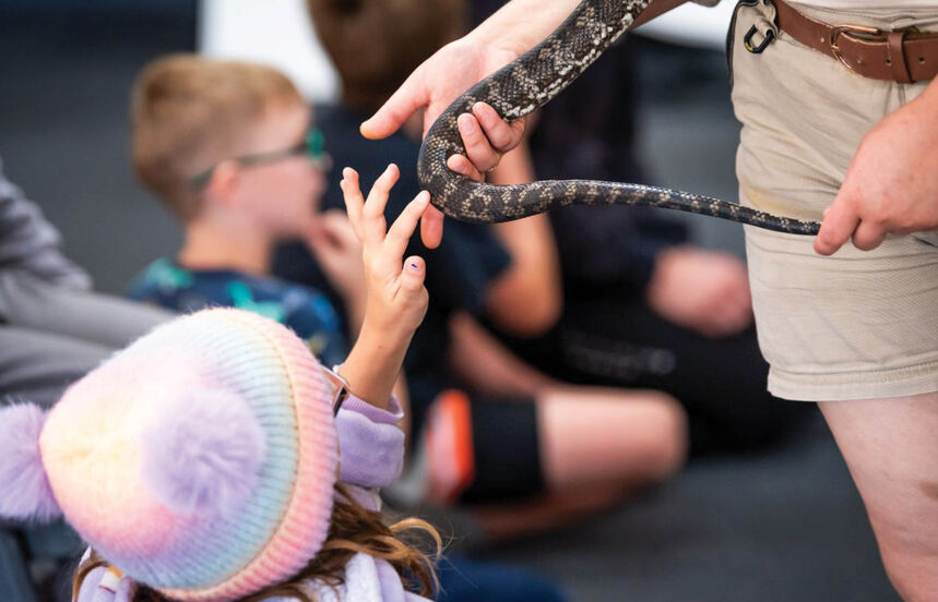 Camp Yurrebilla Jan 2025