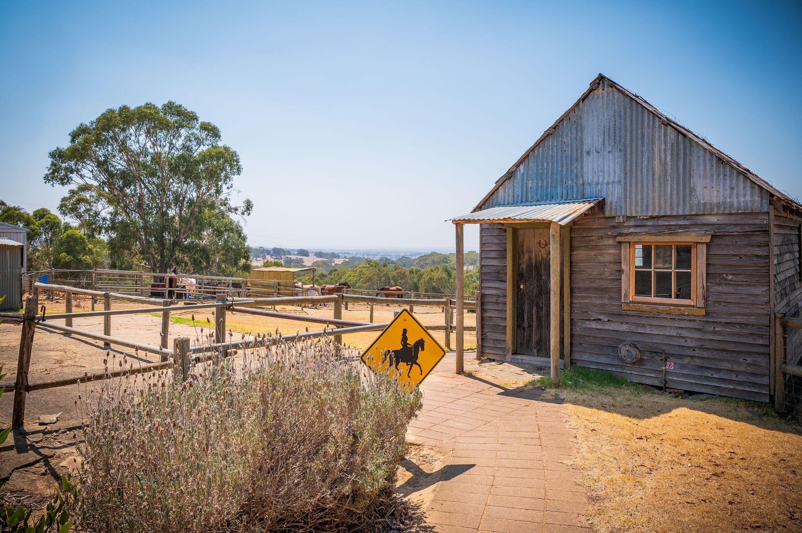 Camp Yurrebilla image 1
