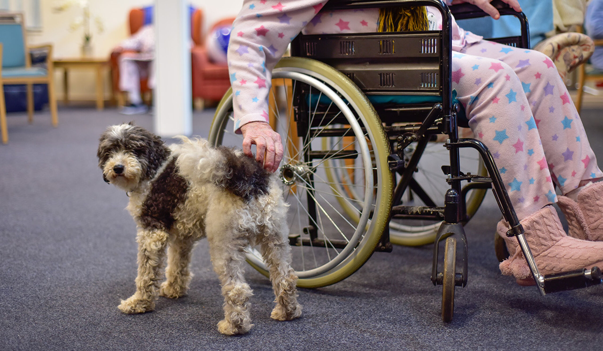Pets the unsung heroes at Baptistcare Moonya Residential Aged Care in Manjimup