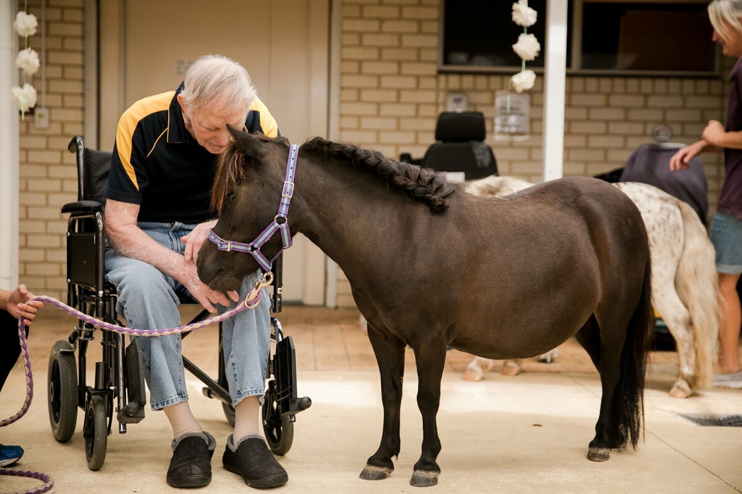 Pony visits stir happy memories for Baptistcare Aged Care residents