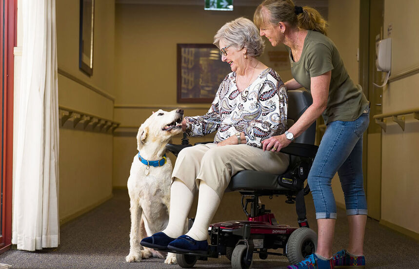 Puppy love at David Buttfield Centre Residential Aged Care in Gwelup