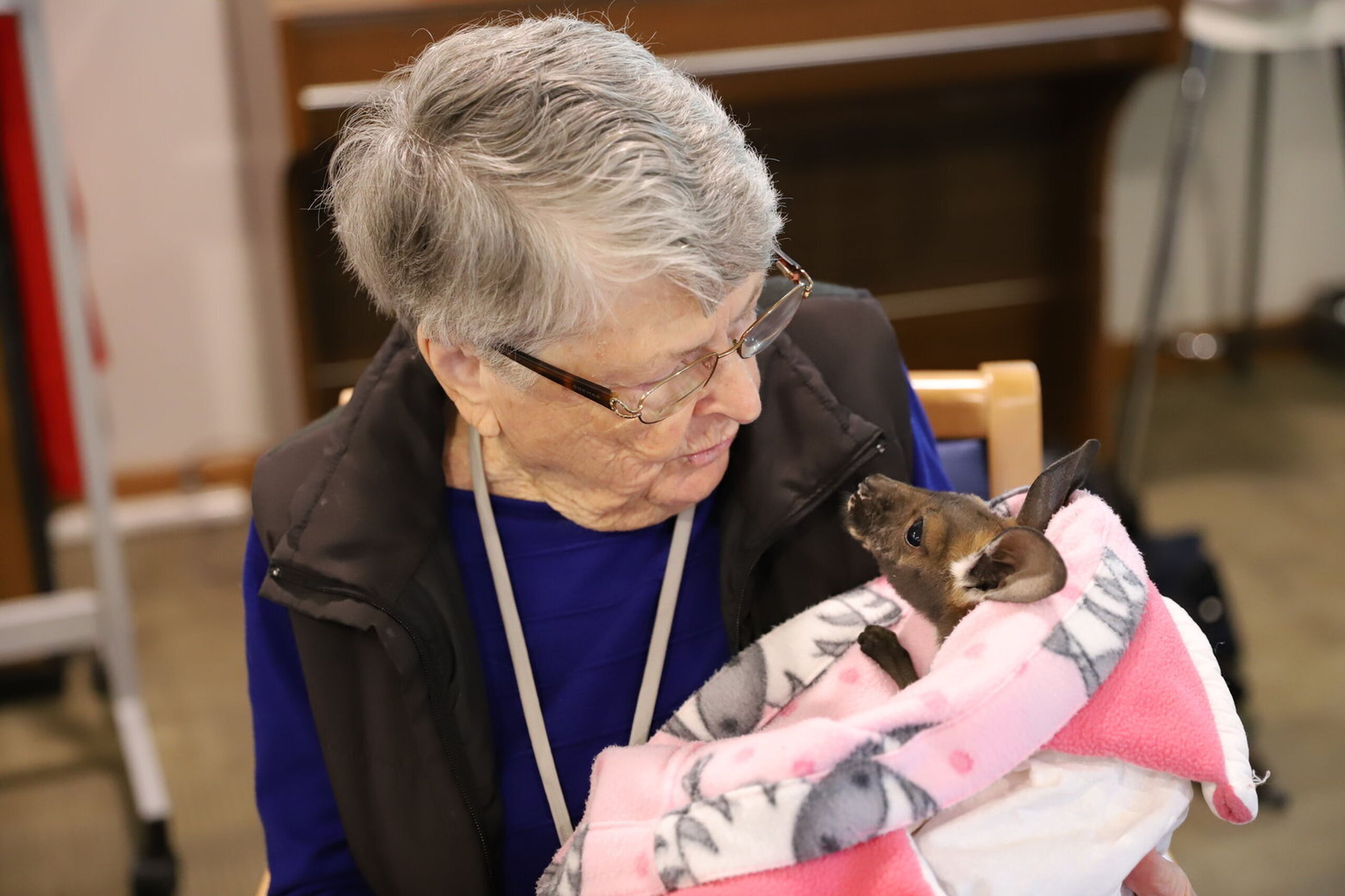 Rescue joeys bring joy to Yallambee Residential Care residents