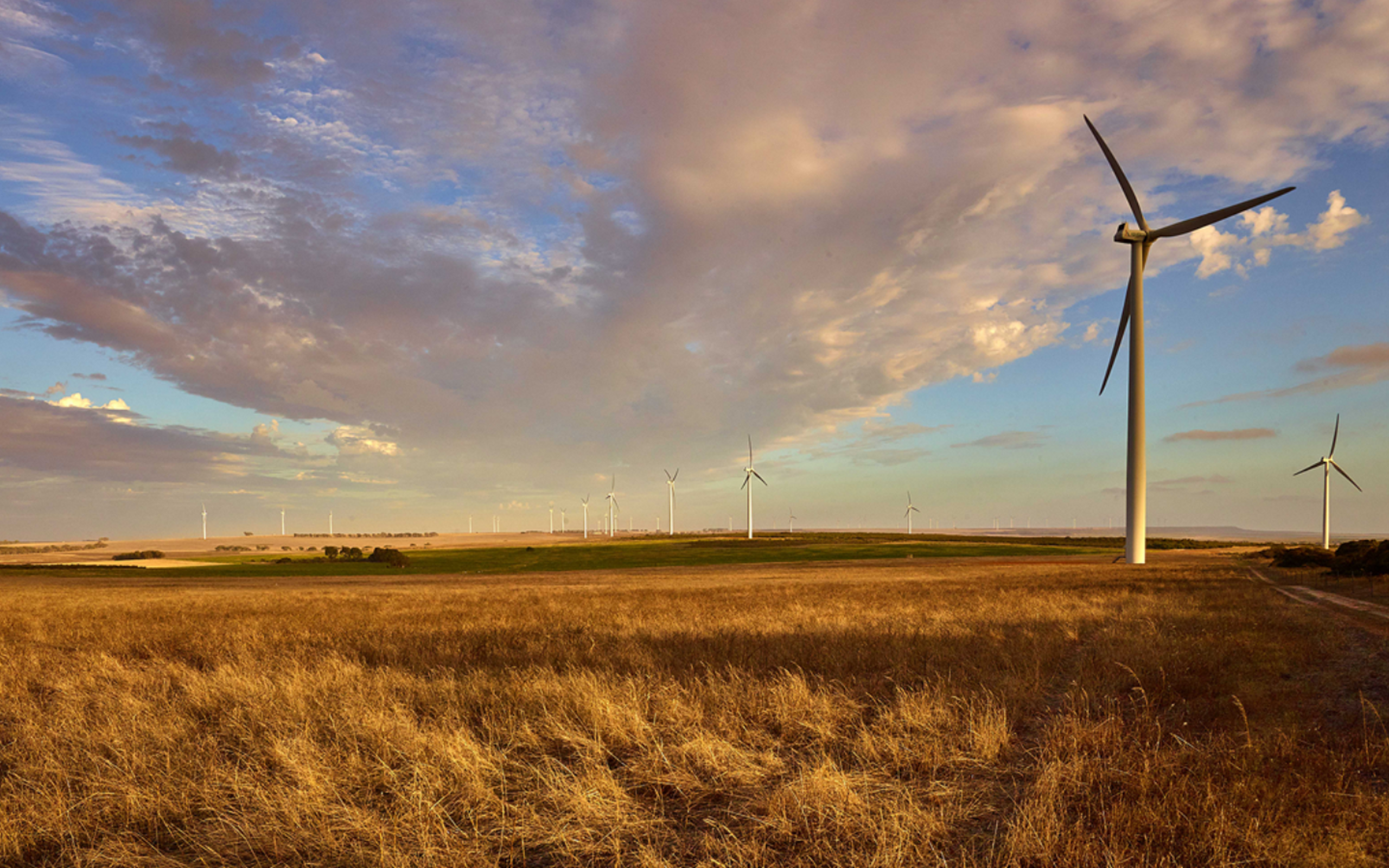 Website Hero Image 14