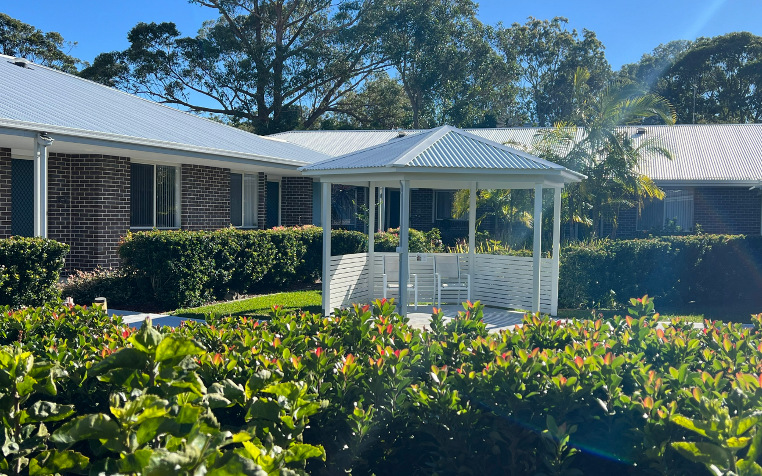 Website Hero Image 21