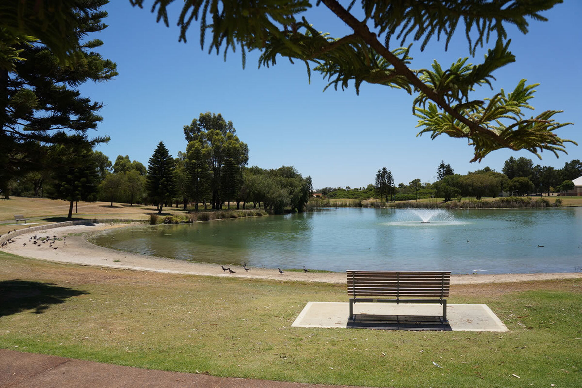 park and lake near baptistcare gracehaven aged care home in rockingham wa