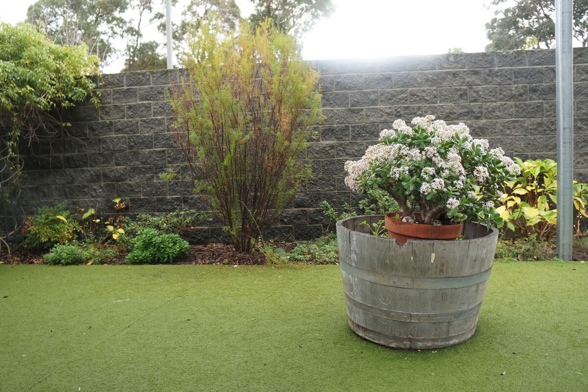 modern outdoor garden for nursing home residents to enjoy at baptistcare mirrambeena aged care home in margaret river wa