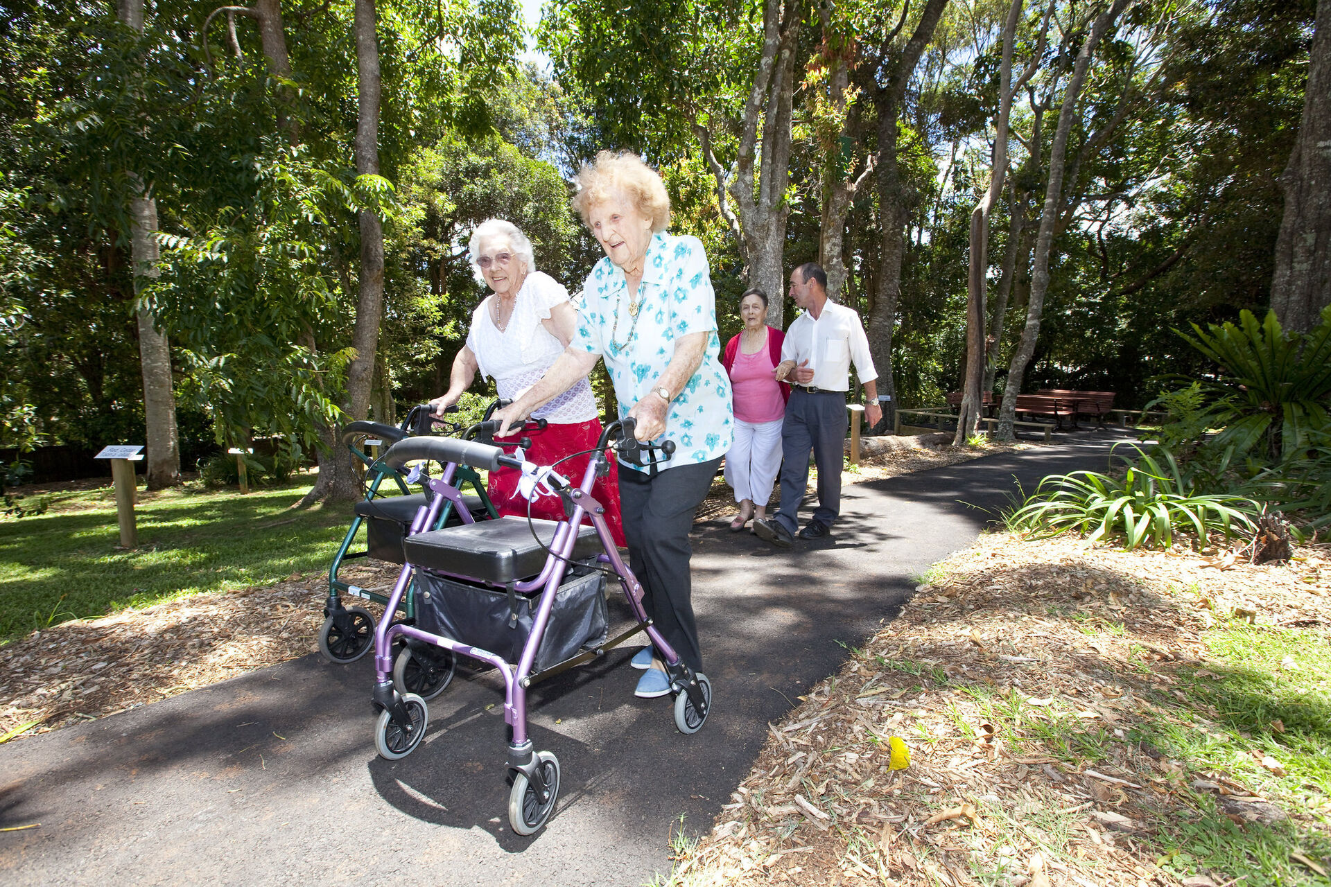 a group of aged care residents going for a walk through the beautiful gardens at baptistcare maranoa centre aged care home in alstonville nsw far north coast