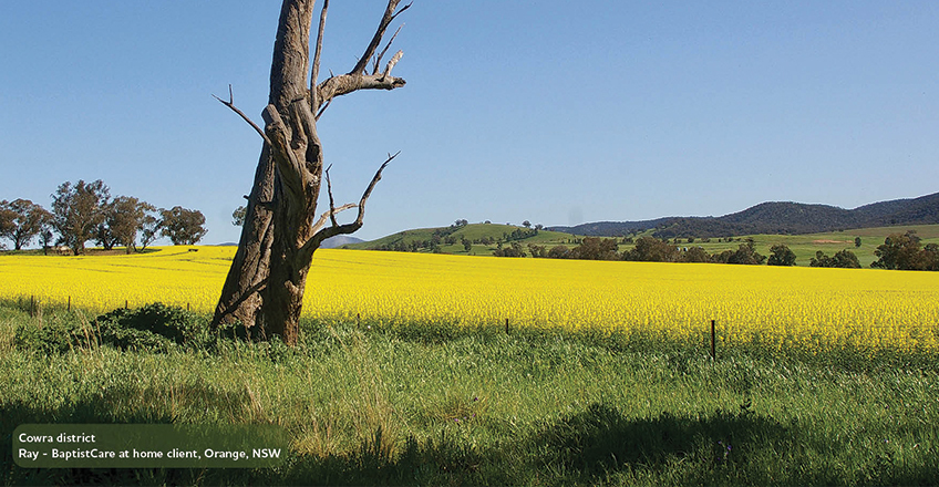 Cowra district, submitted by BaptistCare at home client, Ray.