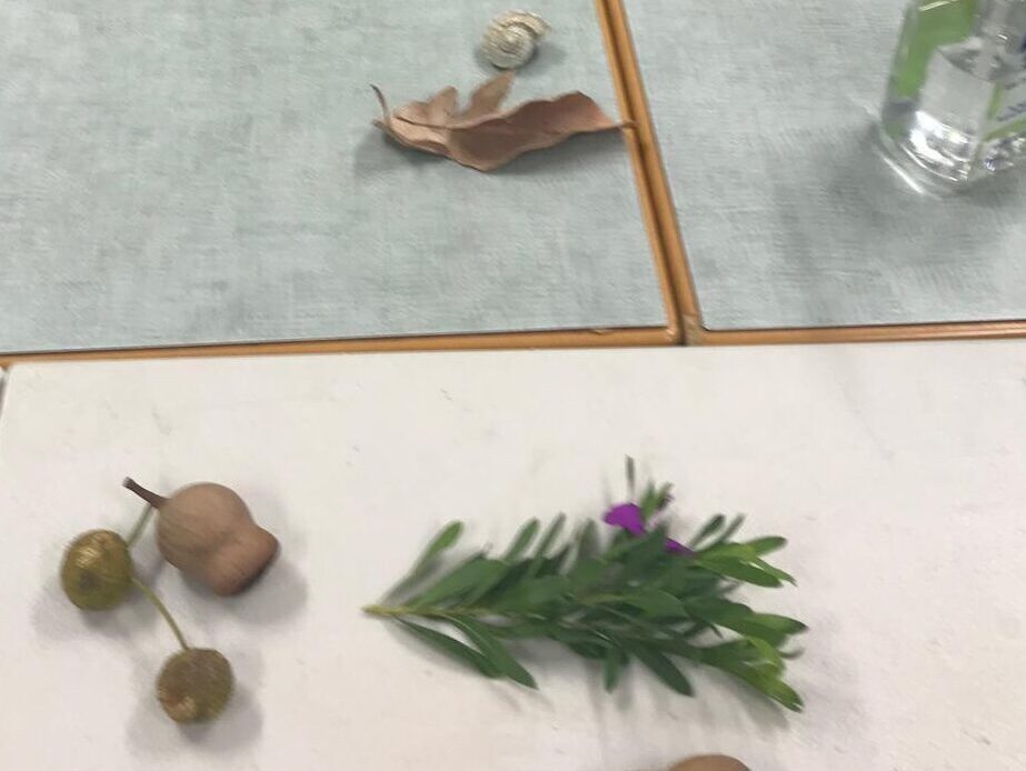 /uploads/images/RE-Nature-Objects.jpg